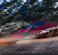 Narooma Forest Rally - Accommodation Mt Buller