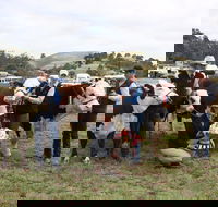 Noorat Show - Accommodation Mt Buller