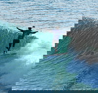 Port Stephens Surf Festival - Accommodation Mt Buller