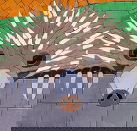 SALA 2020 - Colour Our World - Accommodation Mt Buller