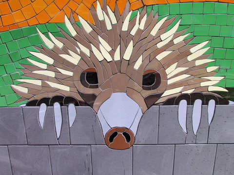 SALA 2020 - Colour Our World - Accommodation Mt buller 0