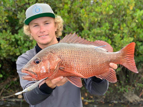 SCF Research And Sustainability Competition - Accommodation Mt buller 0