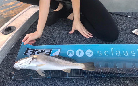 SCF Research And Sustainability Competition - Accommodation Mt buller 1