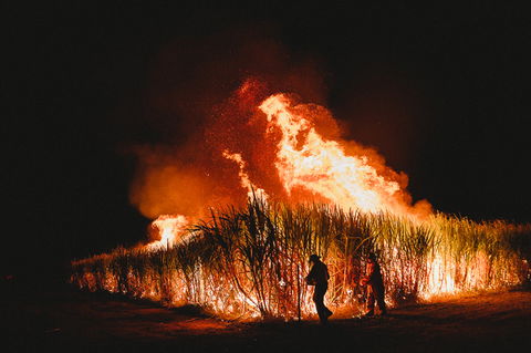 Sweet Days, Hot Nights Festival - Accommodation Mt Buller 1