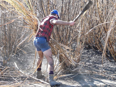 Sweet Days, Hot Nights Festival - Accommodation Mt Buller 2