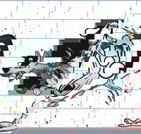 The Pink Floyd Experience - Accommodation Mt Buller