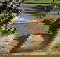 Tocal Field Days - Accommodation Mt Buller