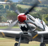 Wings Over Illawarra - Accommodation Mt Buller