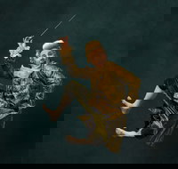 Wolfgangs Magical Musical Circus - Accommodation Mt Buller