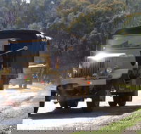ARTHC Annual Dinner and Road Run with Show and Shine Auction and Music. - Accommodation Mt Buller