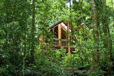 The Canopy Rainforest Treehouses And Wildlife Sanctuary - Accommodation Mt Buller 1