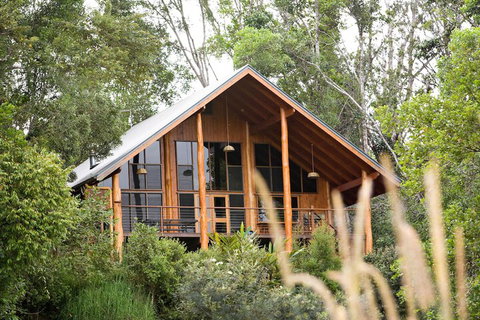 The Canopy Rainforest Treehouses And Wildlife Sanctuary - Accommodation Mt Buller 2