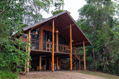 The Canopy Rainforest Treehouses And Wildlife Sanctuary - Accommodation Mt Buller 3