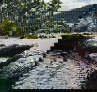 Colonial Palms Motor Inn