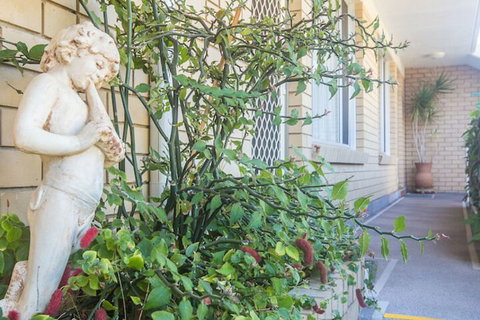 Iluka Motel - Accommodation Mt Buller 4