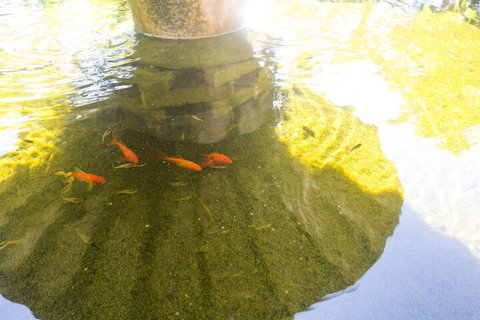 Iluka Motel - Accommodation Mt Buller 7