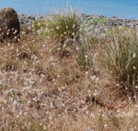 Schouten House - Accommodation Mt Buller