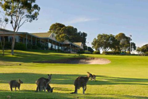 Early Settlers Motel Tocumwal - Accommodation Mt Buller 6