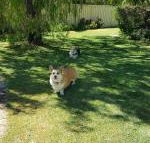 Abbey Beach Shack - Accommodation Mt Buller