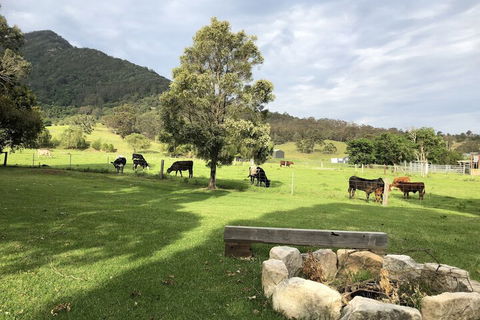 ARCADIA - The Barn Cottage & Rosehill Cottage - Accommodation Mt Buller 3