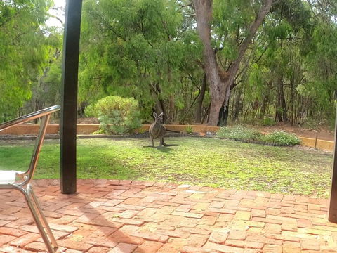 Yallingup Pet Friendly Bush Retreat - Accommodation Mt Buller 5