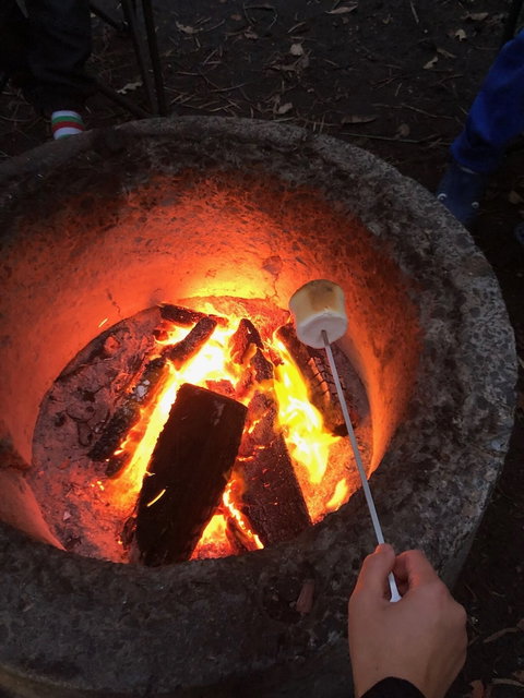 WA Wilderness - Accommodation Mt Buller 1