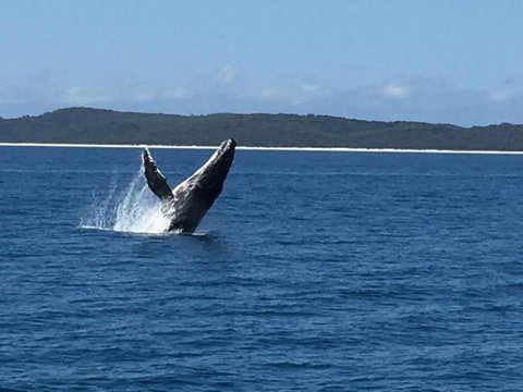 Sandy Footprints - Accommodation Mt Buller 3