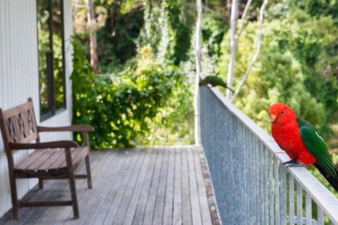 At Riverside - Accommodation Mt Buller 5