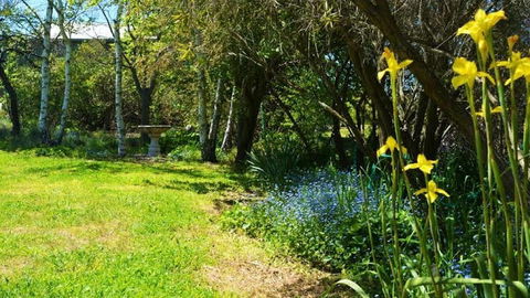 Greentrees Guest House - Accommodation Mt Buller 1