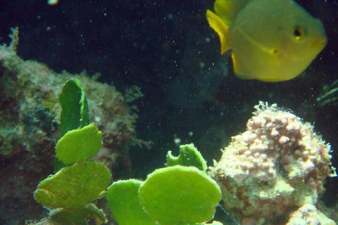 Gnaraloo Station - Accommodation Mt Buller 5