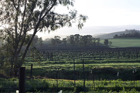 Jasmine's Cottage - Accommodation Mt Buller 0