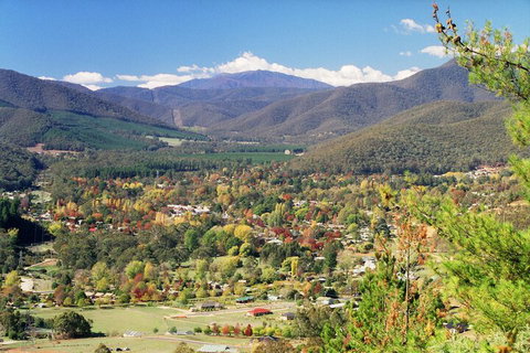 Discovery Parks Bright - Accommodation Mt Buller 1