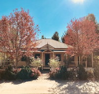 Autumn Beauty 4 - Accommodation Mt Buller