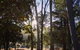 Bright Cabin Park - thumb 0