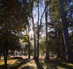 Bright Cabin Park - Accommodation Mt Buller