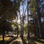 Bright Cabin Park - Accommodation Mt Buller 0