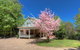 406 Back Porepunkah Road Bright - thumb 0