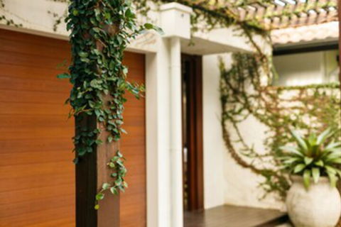 ESPRIT 2 PALM COVE BRAND NEW - Accommodation Mt Buller 0
