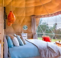 Domescapes in the Vines - Accommodation Mt Buller