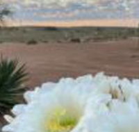 White Cliffs Underground Motel