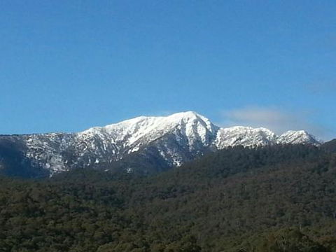 Alps Lodge - Accommodation Mt Buller 4