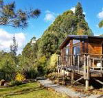 Southern Forest Accommodation - Accommodation Mt Buller