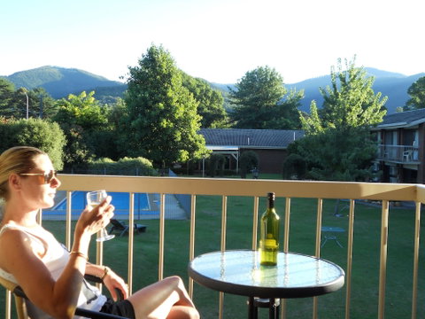 Bogong View Motor Inn - Accommodation Mt Buller 6