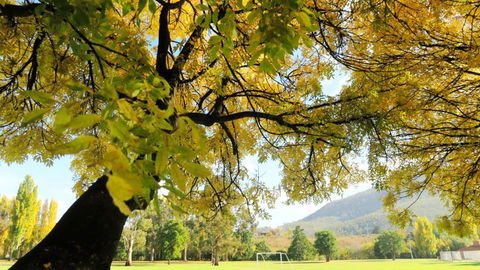 Junction Motel - Accommodation Mt Buller 1