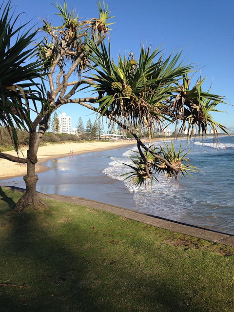 Grand Palais Beachside Resort - Accommodation Mt Buller 3