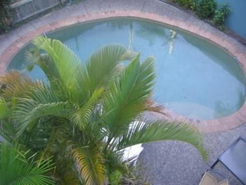 Noosa River Sandy Shores - Accommodation Mt Buller 4
