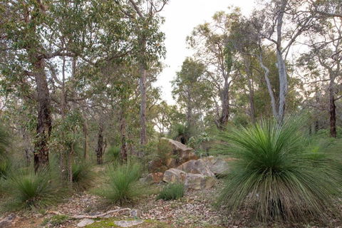 A Hidden Bush Delight - Accommodation Mt Buller 6