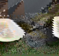 William Hunts Retreat Cypress Studio - Accommodation Mt Buller