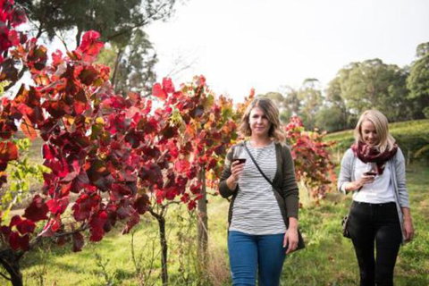 Bright 29 On Delany Avenue - Accommodation Mt Buller 2