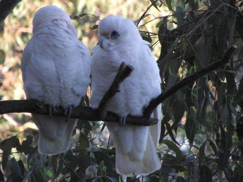 Green Point Lakehouse - Accommodation Mt Buller 6